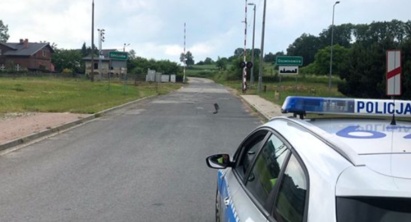 foto: Policja w Nysie 