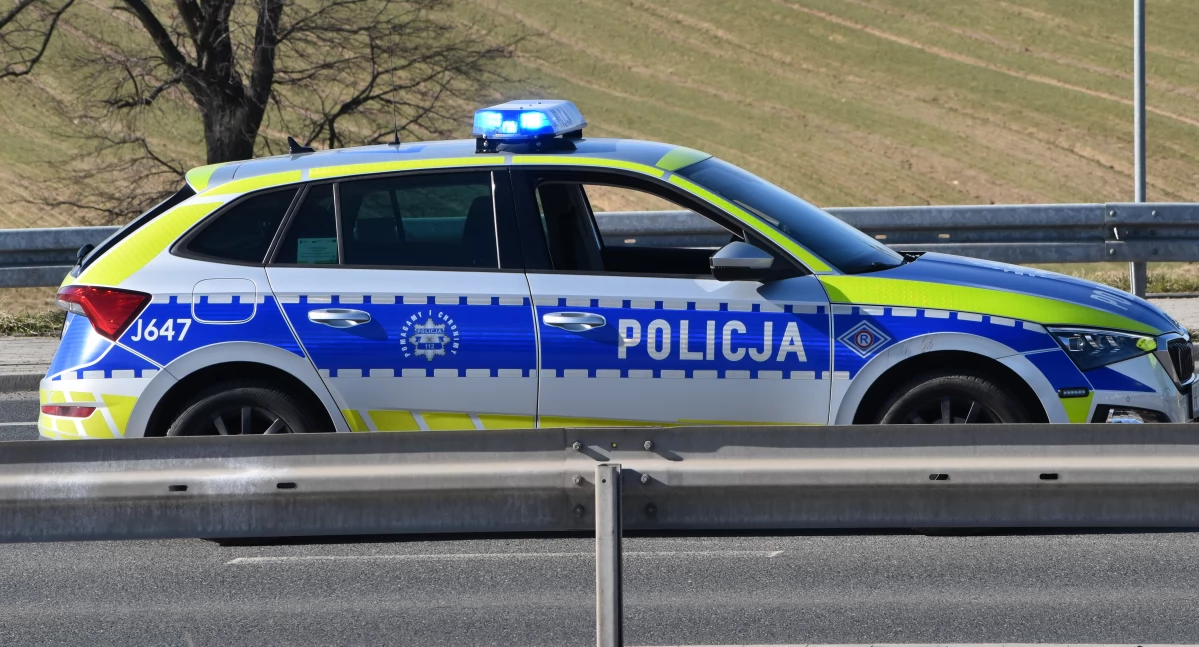 Policja , Prawa jazdy stracił nigdy miał - zdjęcie, fotografia