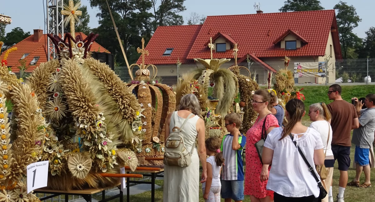 Sprawy społeczne, wyniosą nagrody - zdjęcie, fotografia