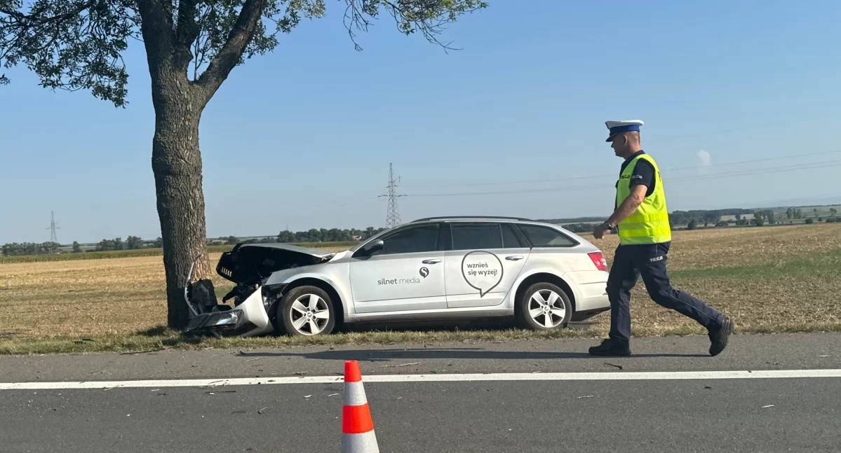 Policja , Jazdę skończył drzewie - zdjęcie, fotografia