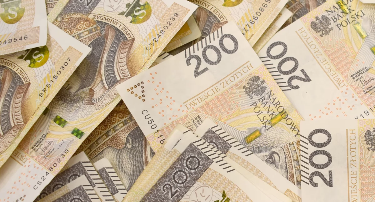 Samorząd, Zalegają gminie ponad milion złotych! - zdjęcie, fotografia