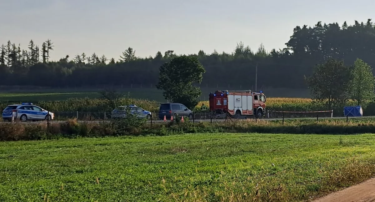 Policja , Wypadek śmiertelny Malerzowicach Wielkich - zdjęcie, fotografia