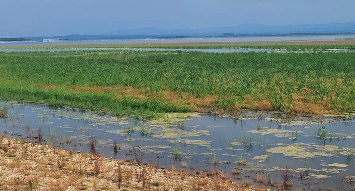 Sprawy społeczne, Jezioro Otmuchowskie Można łowić - zdjęcie, fotografia
