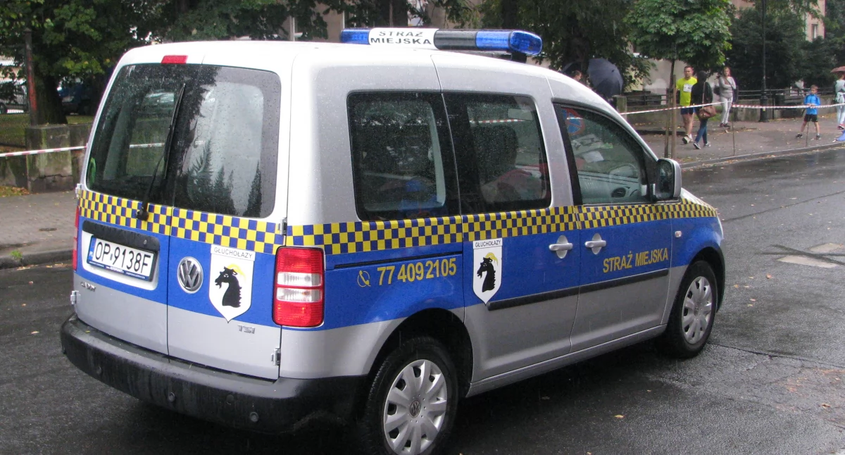 Samorząd, Dotacje policji straży miejskiej  - zdjęcie, fotografia
