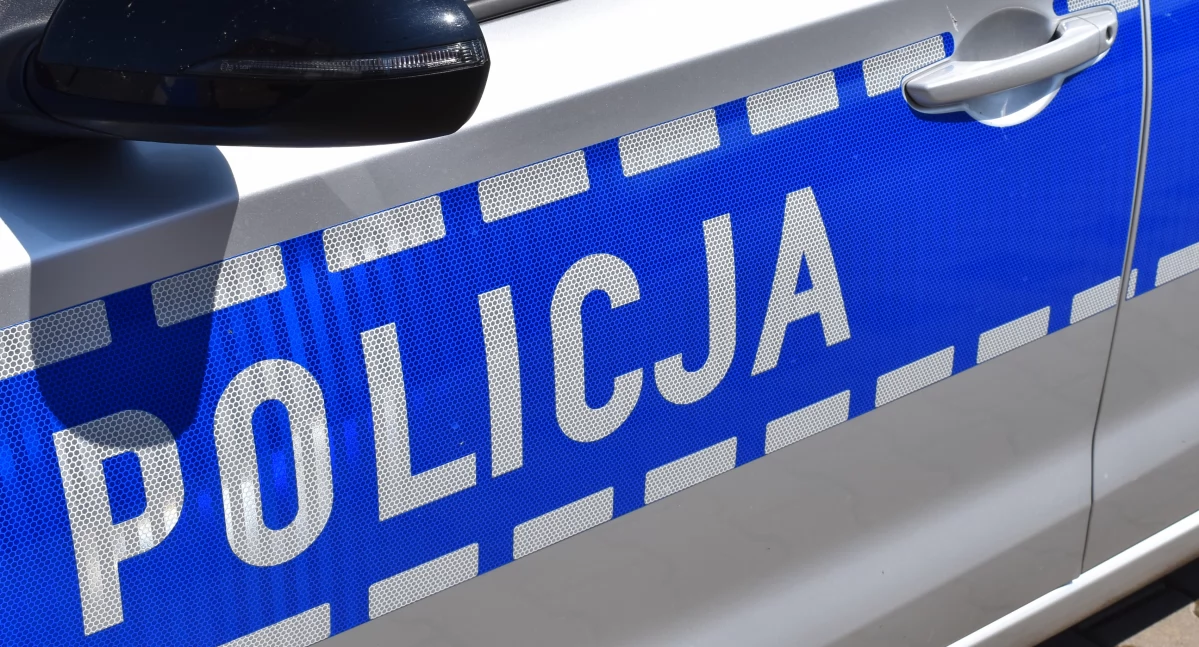 Policja , Kradzież - zdjęcie, fotografia