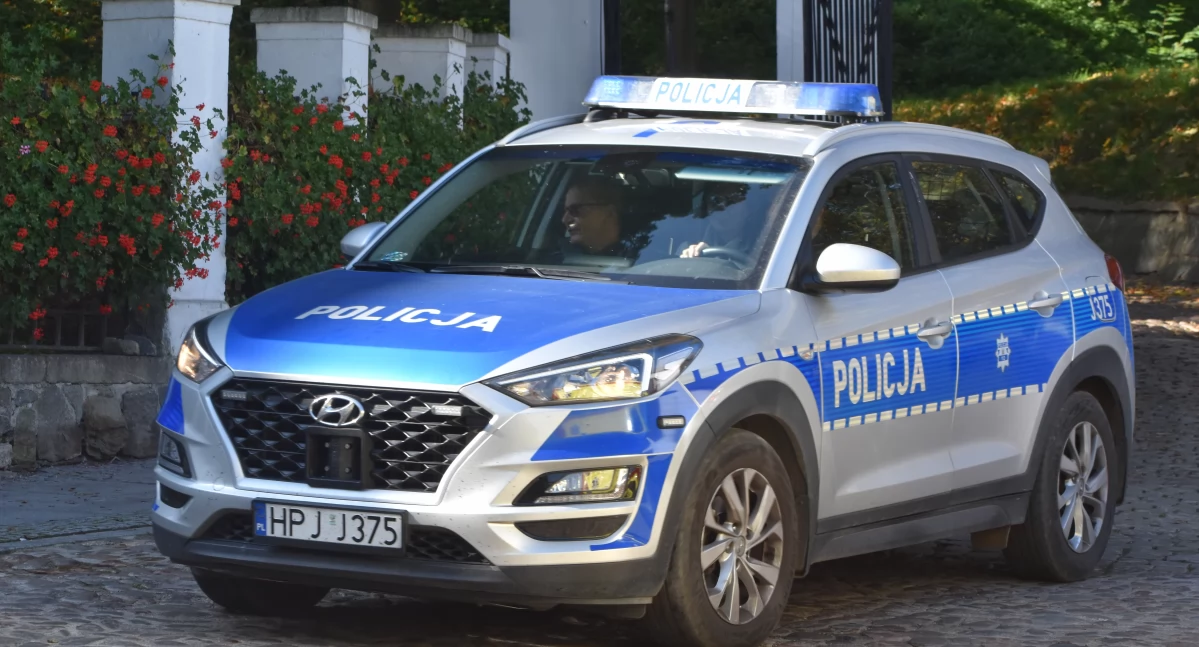 Policja , dwóch pijanych - zdjęcie, fotografia