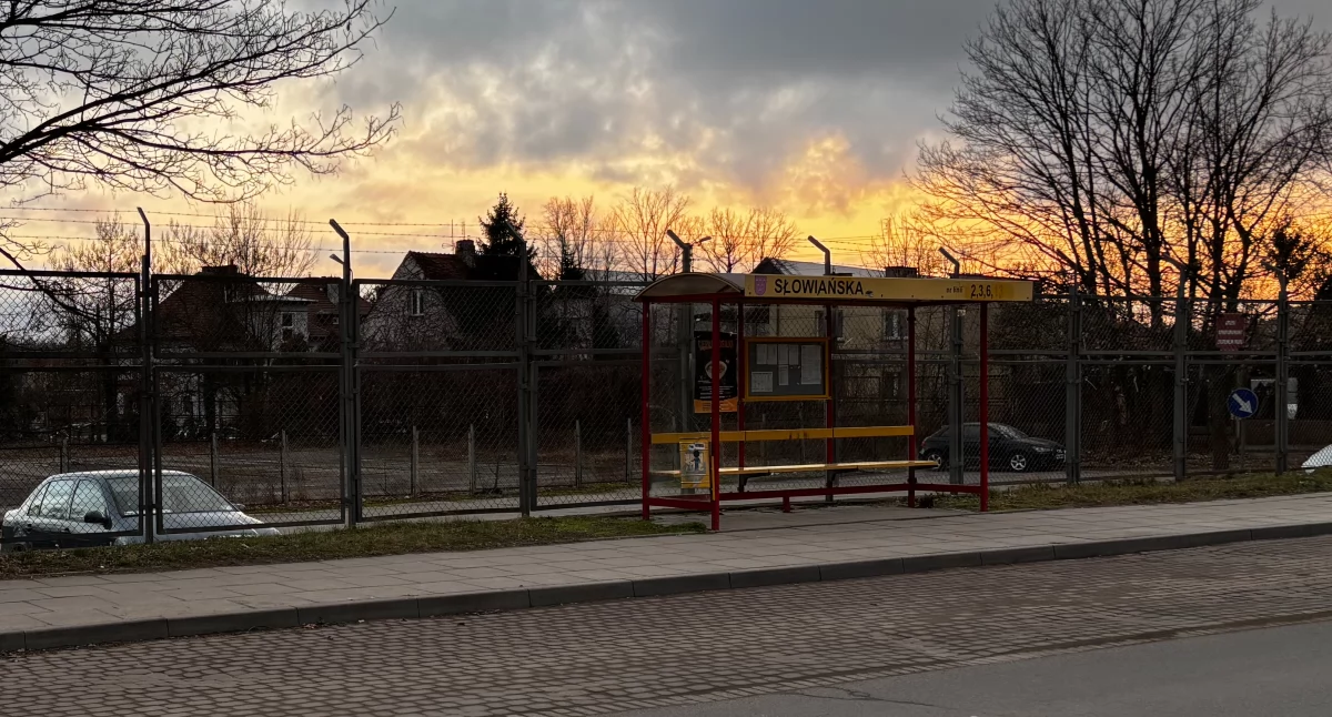 Kontrowersje, straciła blisko miliona złotych - zdjęcie, fotografia