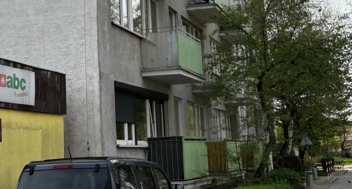 Kontrowersje, Terroryzują mieszkańców ulicy Sudeckiej - zdjęcie, fotografia