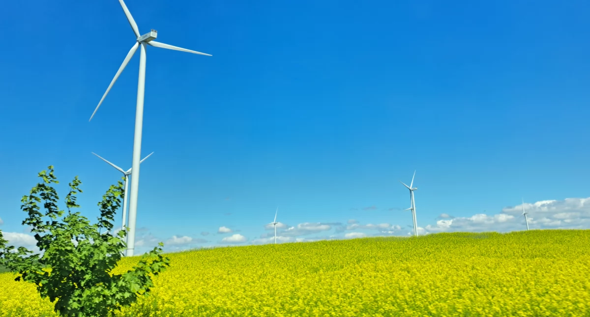 Kontrowersje, Stanowcze wiatrakom! Mieszkańcy Nowak kolejni naszym powiecie sprzeciwiają ewentualnym planom stawiania wiatraków - zdjęcie, fotografia