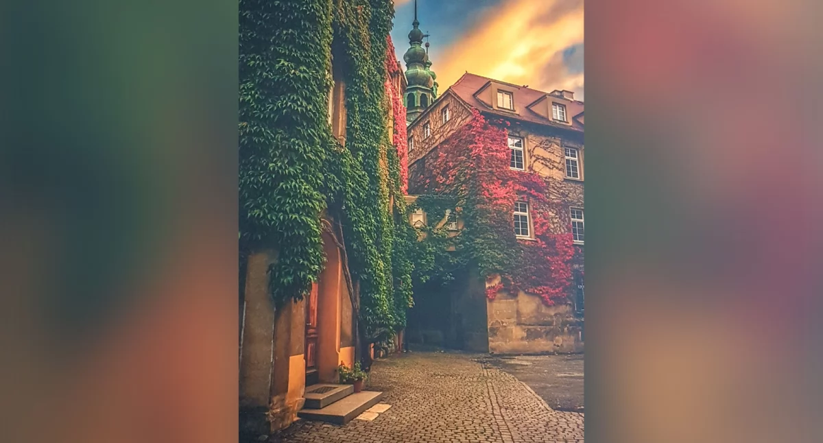 Artykuł sponsorowany, rekrutacja nyskich Szkołach Katolickich - zdjęcie, fotografia