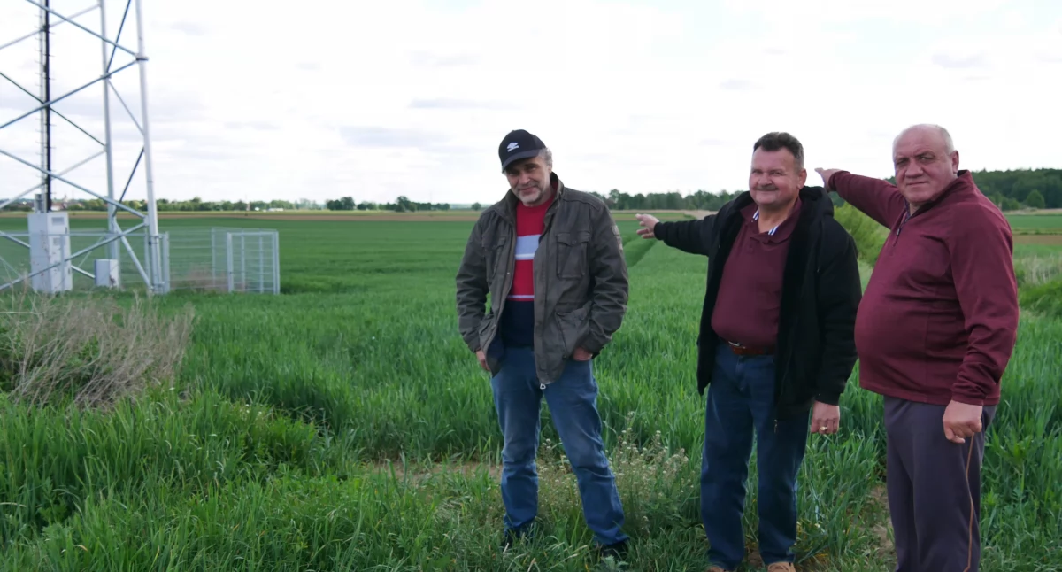 Kontrowersje, Tauron ukradł działki! Stanie linia wysokiego napięcia - zdjęcie, fotografia