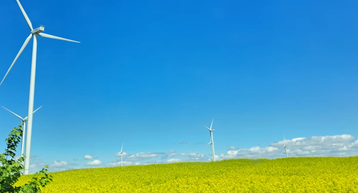 Kontrowersje, „Wiatrakowi” inwestorzy obiecują ogromne pieniądze - zdjęcie, fotografia