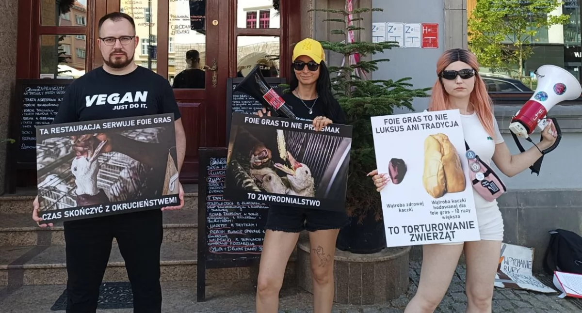 Kontrowersje, Polska wolna Protest restaurację Nysie - zdjęcie, fotografia