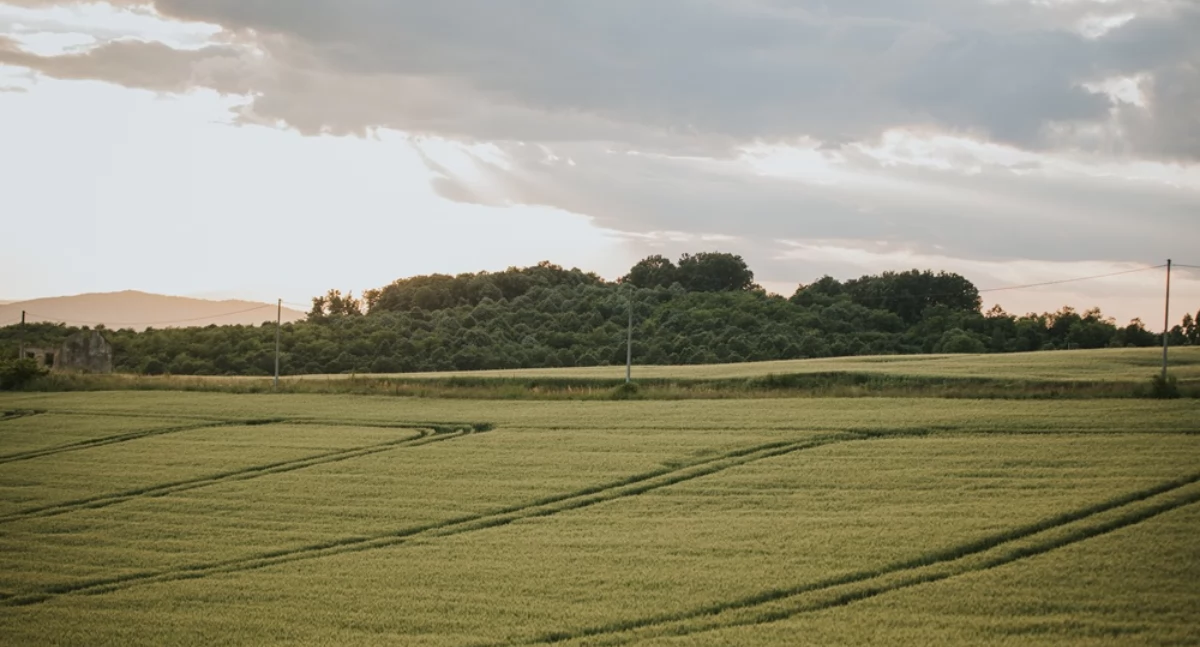 Artykuł sponsorowany, Zamknięty obieg materii efektywnie wykorzystać odpady organiczne gospodarstwie rolnym - zdjęcie, fotografia