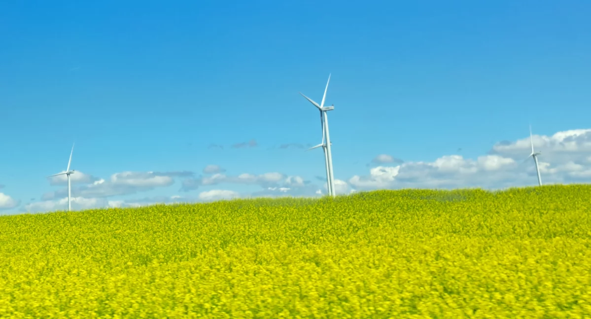 Kontrowersje, Gmina Skoroszyce Pierwsza wieś wiatrakami - zdjęcie, fotografia