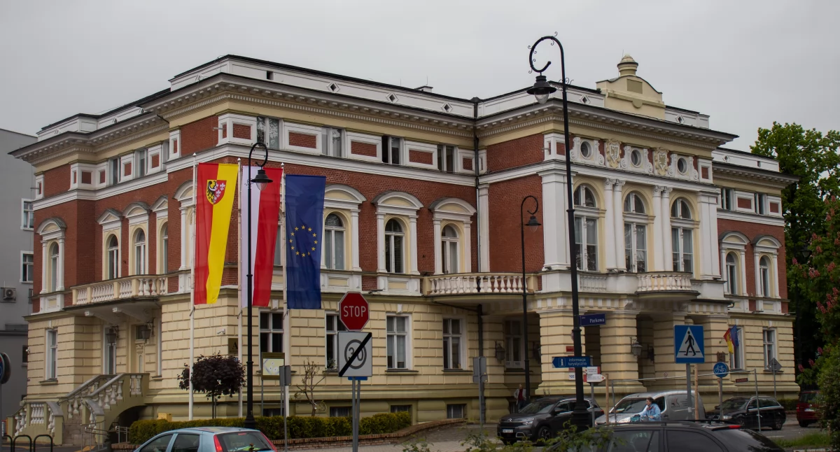 Sprawy społeczne, Radni powiatu nyskiego Zarobki majątki - zdjęcie, fotografia