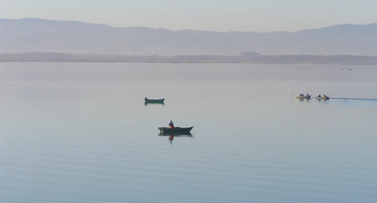 Kontrowersje, Sanepid zmienia komunikat Kąpiel Jeziorze Nyskim ponownie dozwolona - zdjęcie, fotografia