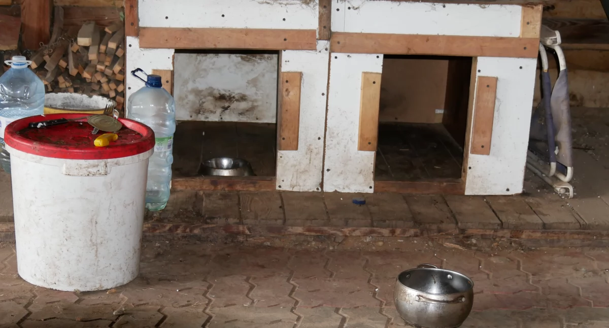 Kontrowersje, Sprawa odebrania psów Trwają czynności policji - zdjęcie, fotografia