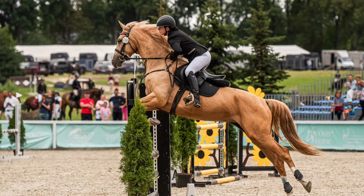 Ludzie, Nysanka Aleksandra Marcinkowska została wicemistrzynią kraju - zdjęcie, fotografia