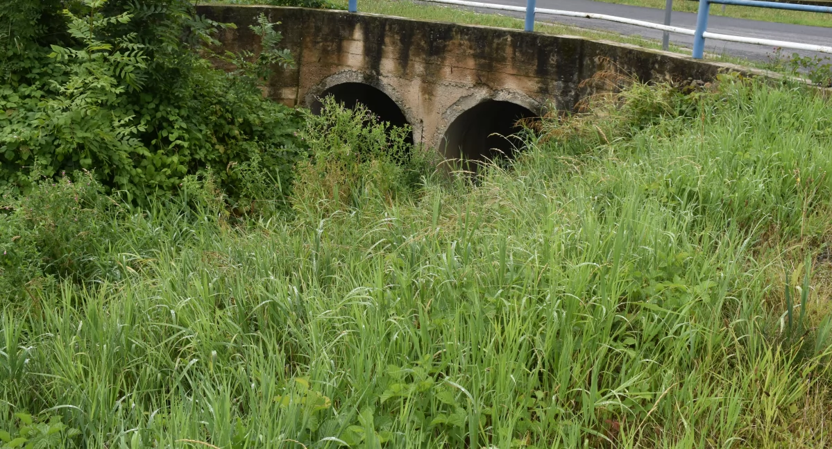 Kontrowersje, powodzi zmian! - zdjęcie, fotografia