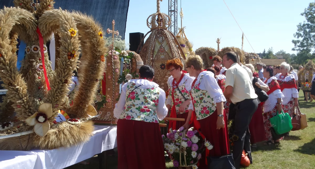Samorząd, Dożynkowy tydzień - zdjęcie, fotografia