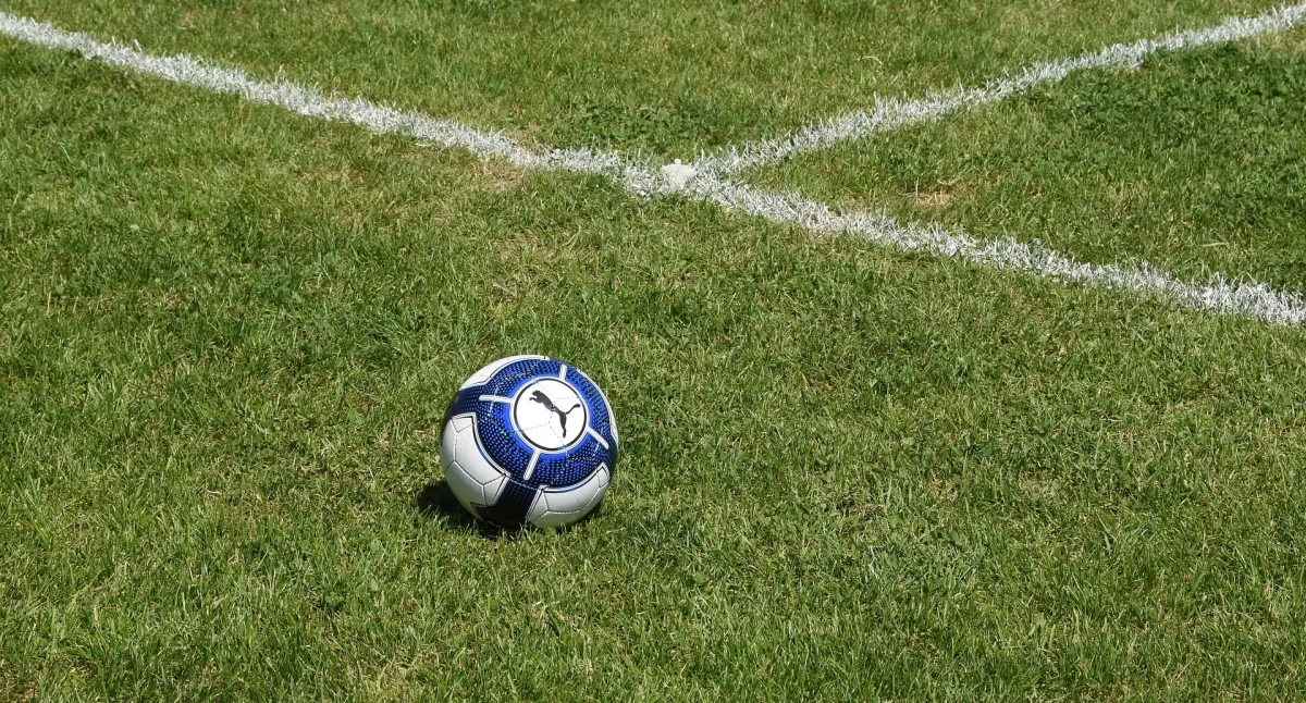Fot. https://pixabay.com/photos/football-ball-puma-mark-logo-4245203/