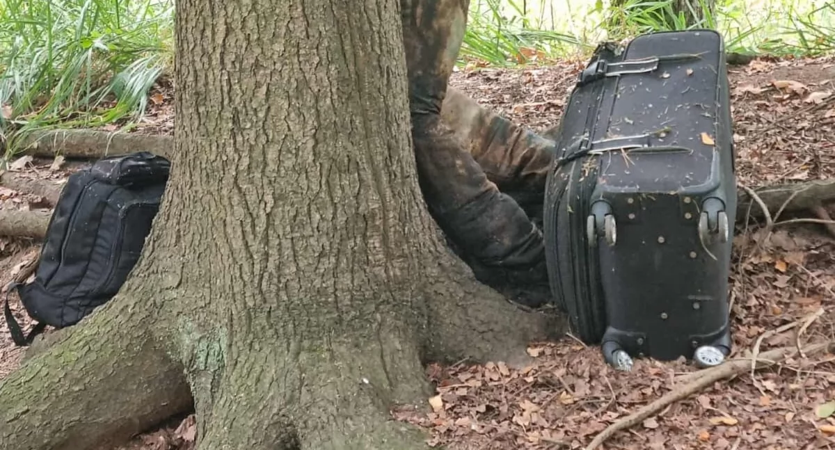 Policja , Grzybiarz znalazł zwłoki przywiązane drzewa - zdjęcie, fotografia