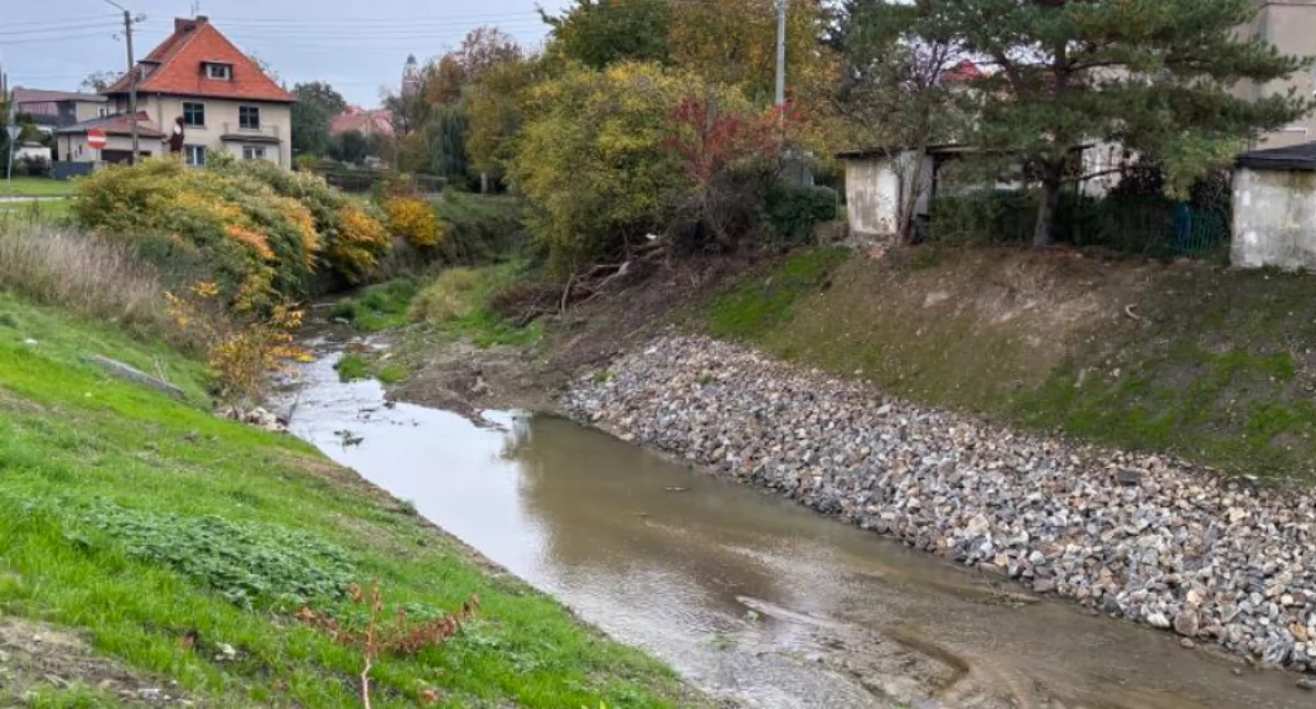 Samorząd, wodzie porządki - zdjęcie, fotografia