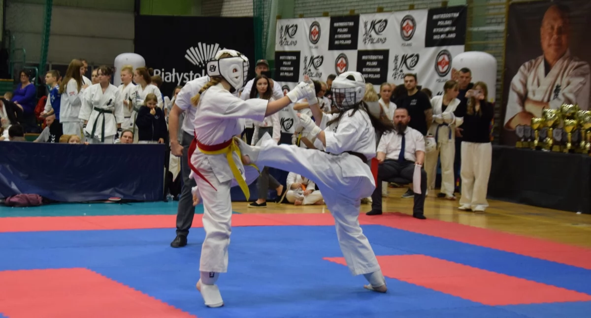 Sztuki walki, Brąz Martyny - zdjęcie, fotografia