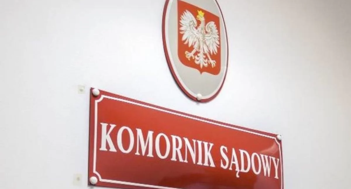 Sąd i prokuratura, zarobili nyscy komornicy - zdjęcie, fotografia