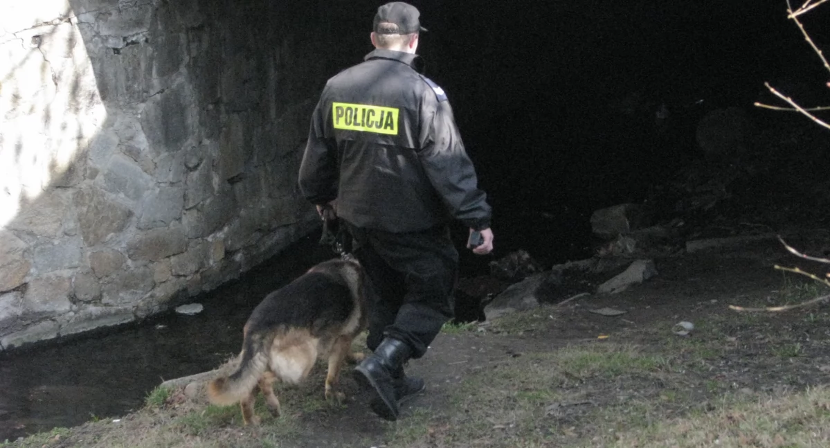 Policja , Poszukiwali zaginionego spał kolegi  - zdjęcie, fotografia