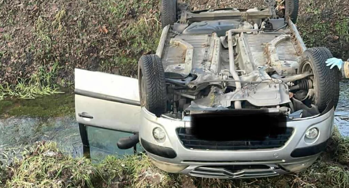 Wypadki, Dachowanie Starym Lesie - zdjęcie, fotografia