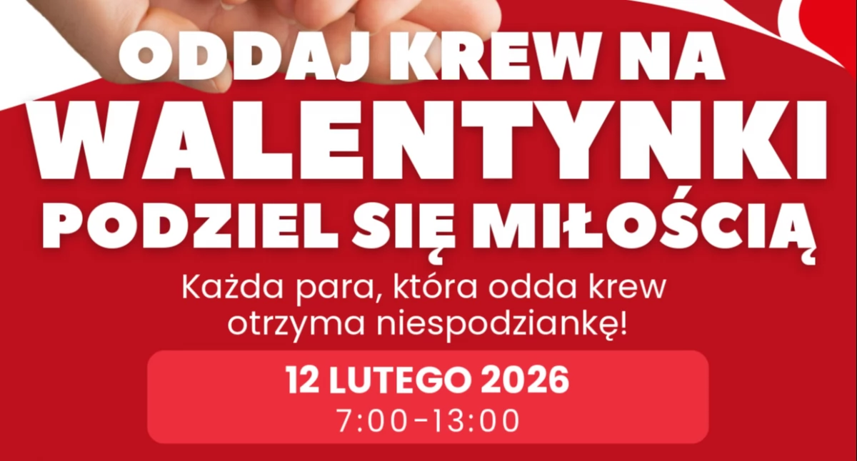 Opieka społeczna, Walentynkowa Zbiórka Nysie - zdjęcie, fotografia