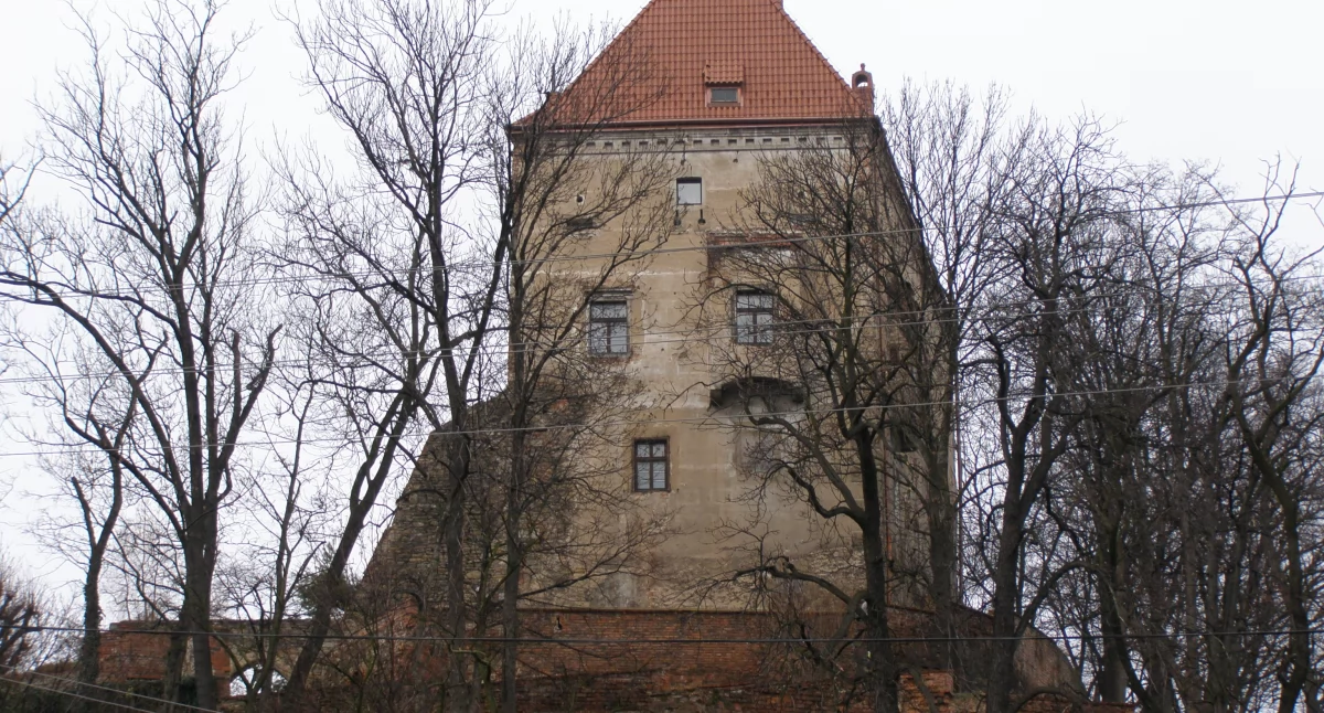 Samorząd, Dyrektor Zamku Robert Kosicki odwołany - zdjęcie, fotografia