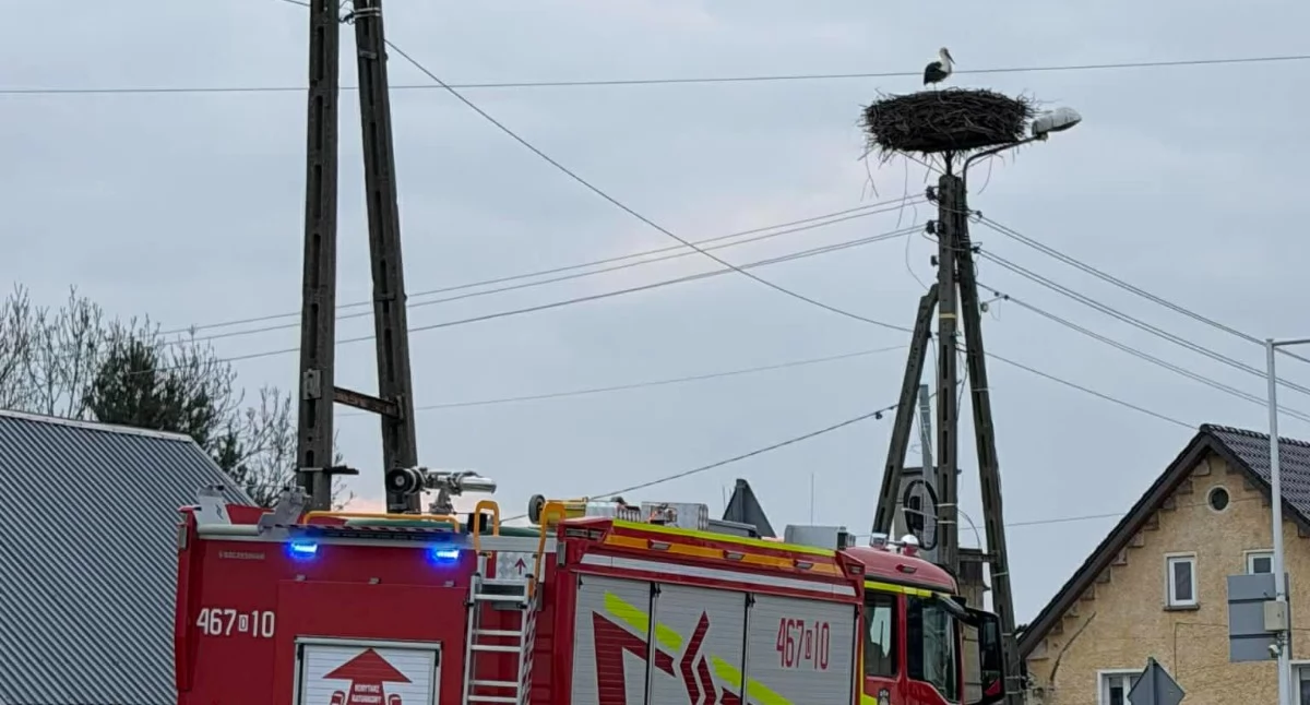 Strażacy uratowali bociana, który dławił się workiem foliowym. foto OSP Wyszków Śląski