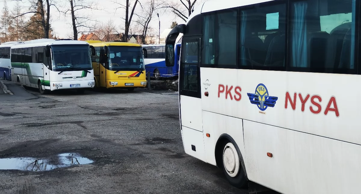 Komunikacja , Kolejny przetarg autobusy unieważniony - zdjęcie, fotografia