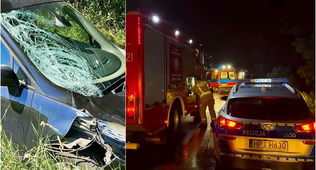 Komunikaty policji, Śmiertelne potrącenie rowerzysty Kierowca uciekł miejsca wypadku - zdjęcie, fotografia