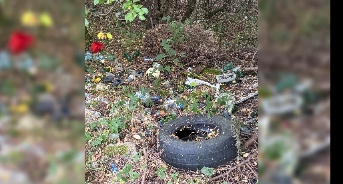 Sprawy społeczne, Ekologia tylko teorii Śmieci zalegają wśród drzew - zdjęcie, fotografia