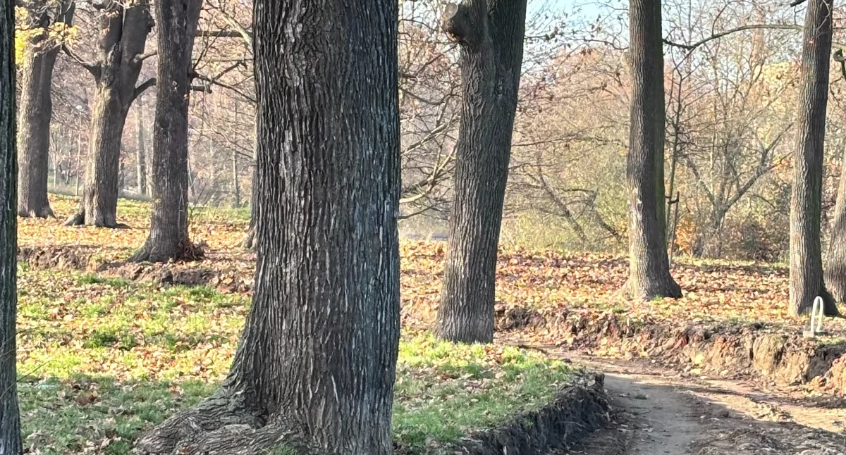 Samorząd, Pożyczą żeby odzyskać pieniądze - zdjęcie, fotografia