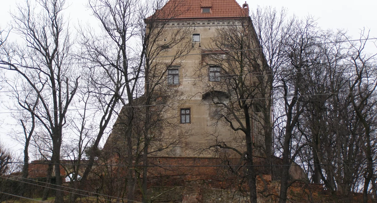 Sprawy społeczne, Finansowa deska ratunku zamku - zdjęcie, fotografia