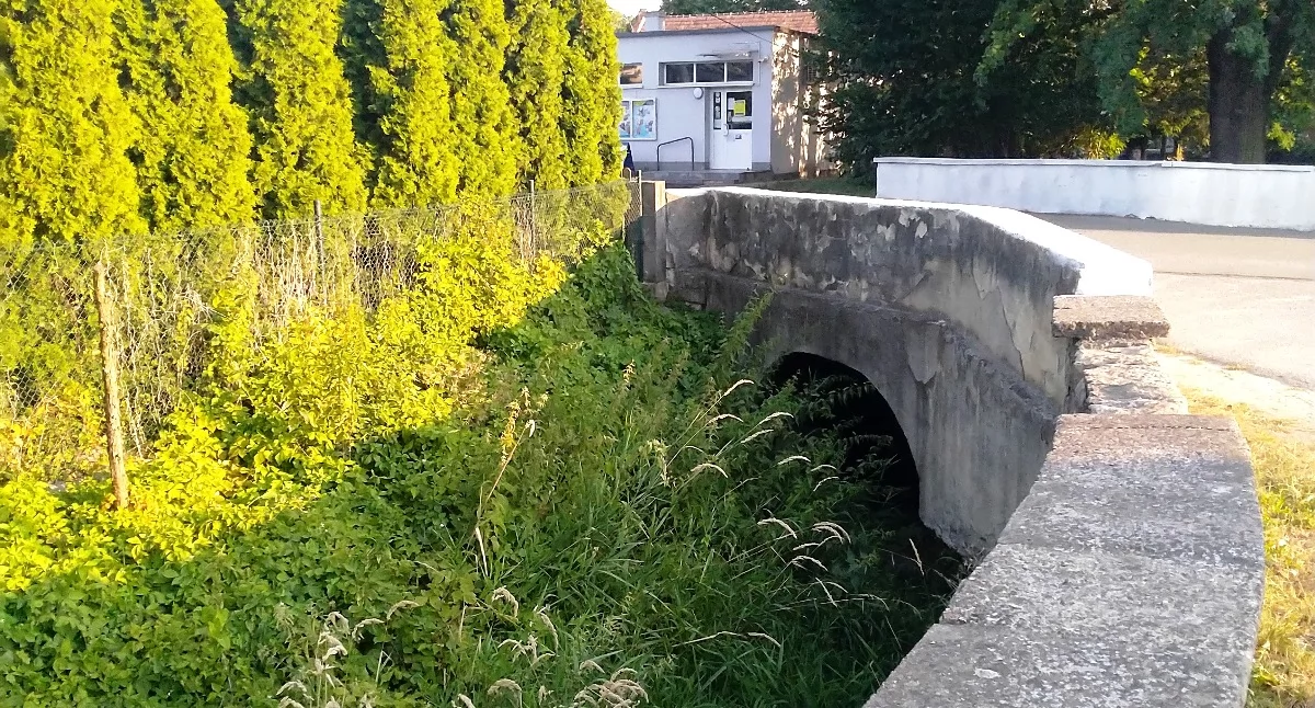 Samorząd, Kanał Wójcicach zarasta niszczeje Gmina pieniędzy remont - zdjęcie, fotografia