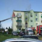 Fotka nr 3 z 11