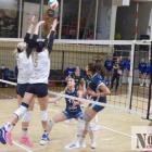 NTSK PANS Komunalnik Nysa - Enea KS Piła 0:3. Podwójny blok Anny Bianki Trusiewicz i...