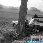 Fot. Prostozopolskiego 