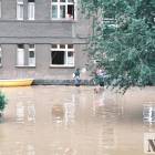 zdjęcie nr 83