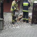 Fotka nr 4 z 6