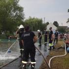 Fotka nr 1 z 105