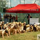 Fotka nr 1 z 5