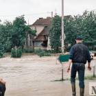 zdjęcie nr 138