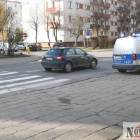 Fotka nr 4 z 6
